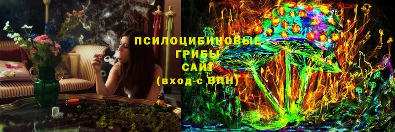 Галлюциногенные грибы Cubensis  Лесозаводск 